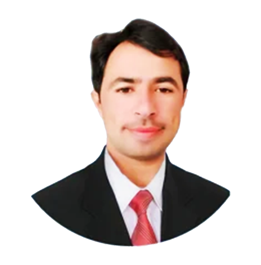 Sajid Ali English Language Expert WordPress Developer