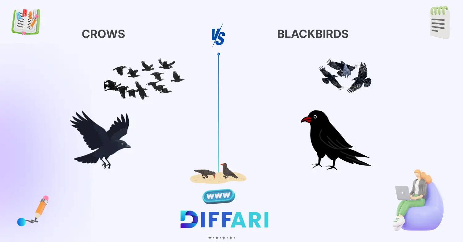 difference between crows and blackbirds