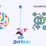 difference between bv and chlamydia