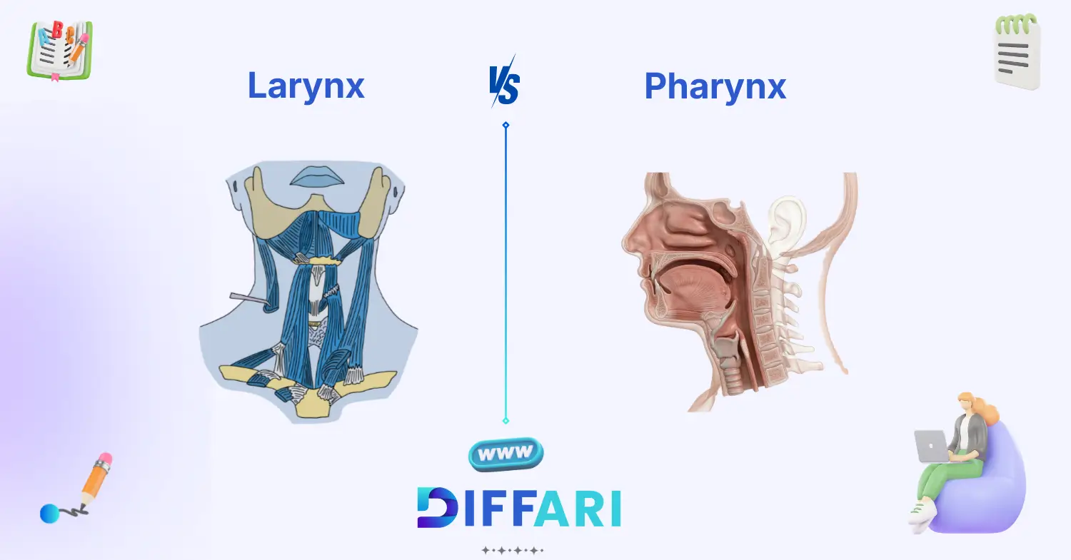 difference between larynx and pharynx