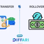 difference between transfer and rollover