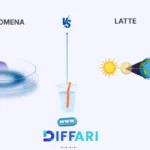 difference between phenomena and phenomenon