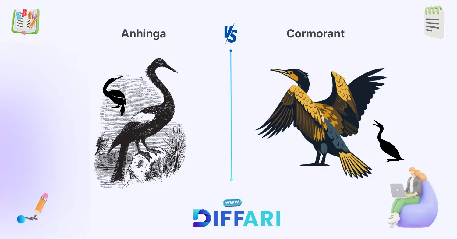 difference between anhinga and cormorant