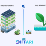 difference between hydroponics and aquaponics