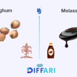 difference between sorghum and molasses