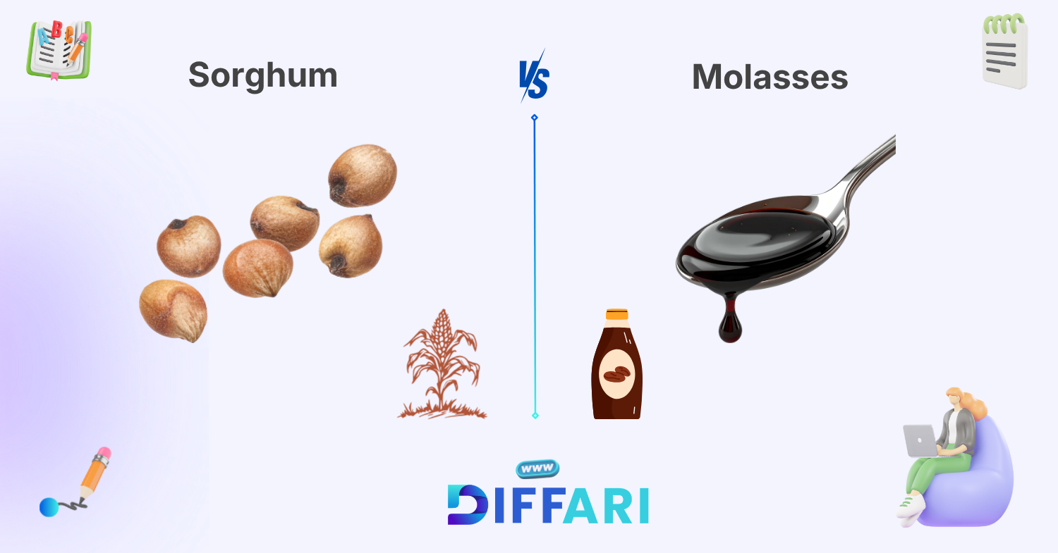 difference between sorghum and molasses